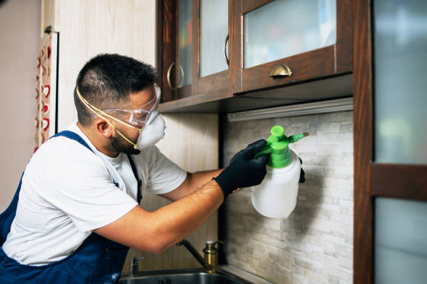 Best Pest Inspection Near Me  in St Paul, MN