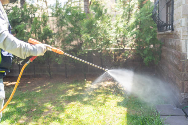 Pest Control for Restaurants in St Paul, MN